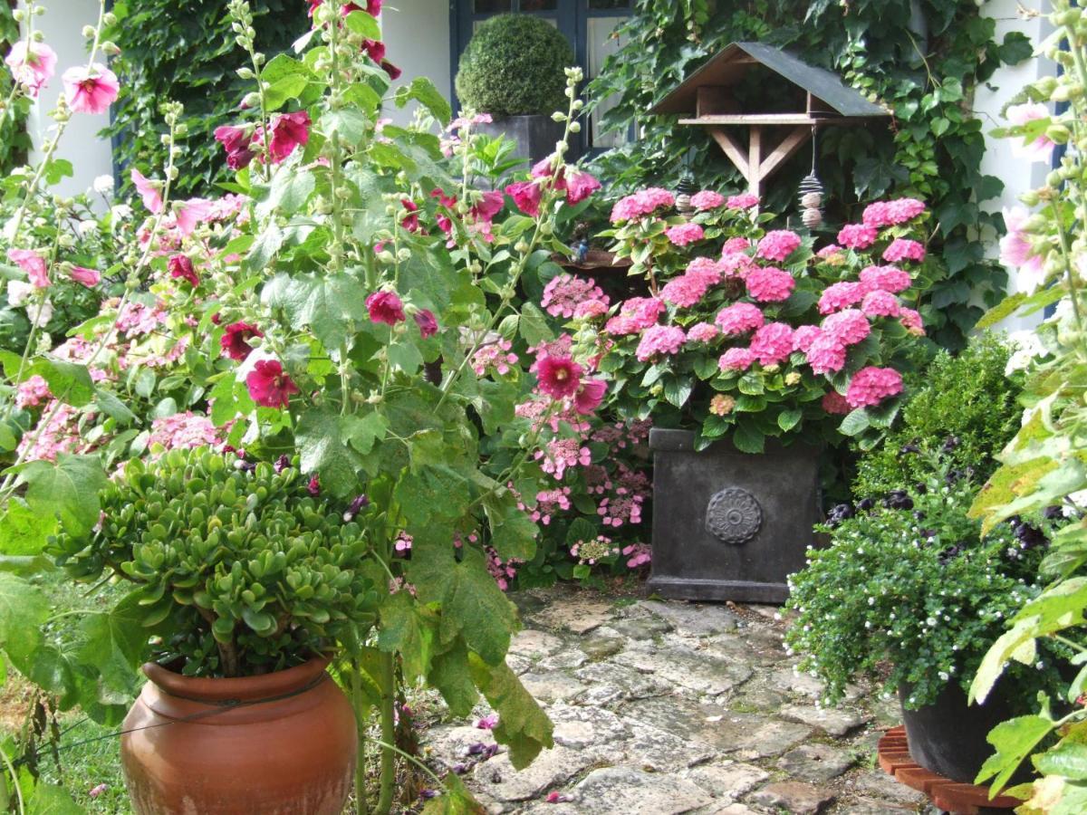 Bed and Breakfast Les Glycines Ury Exteriér fotografie