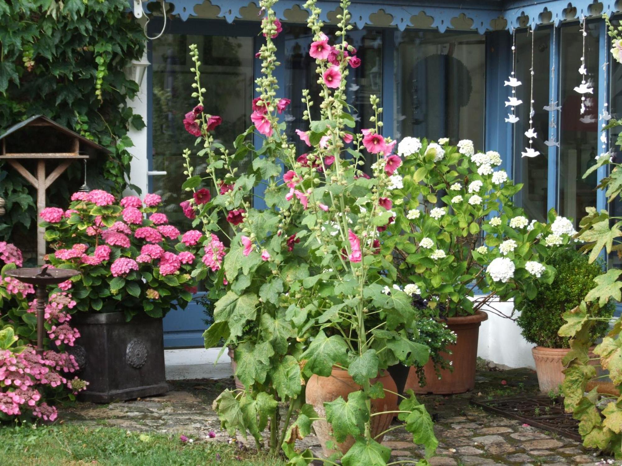 Bed and Breakfast Les Glycines Ury Exteriér fotografie