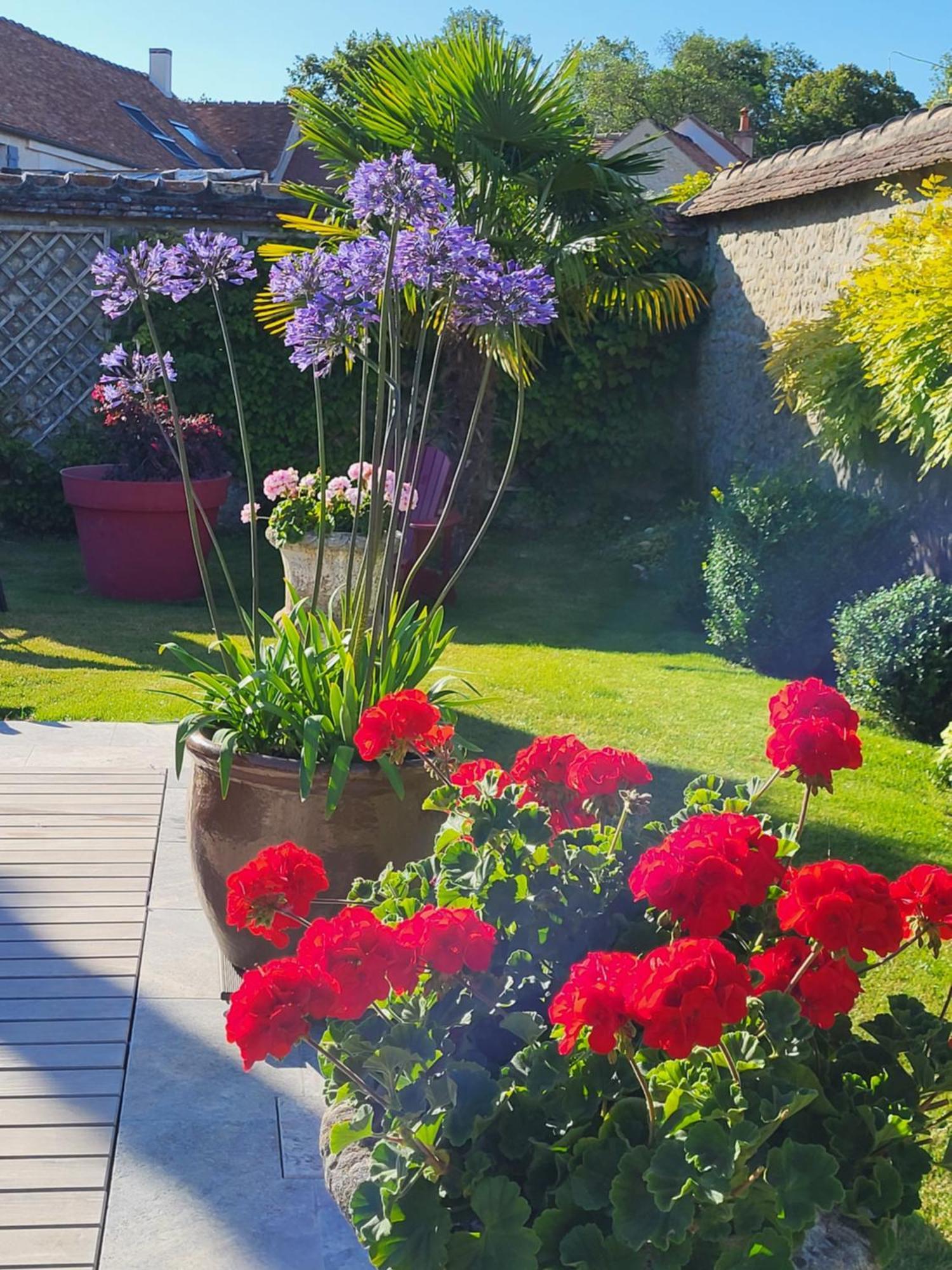 Bed and Breakfast Les Glycines Ury Exteriér fotografie
